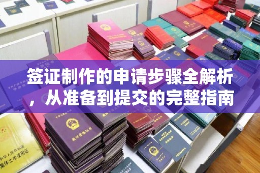 海淀签证制作的申请步骤全解析，从准备到提交的完整指南