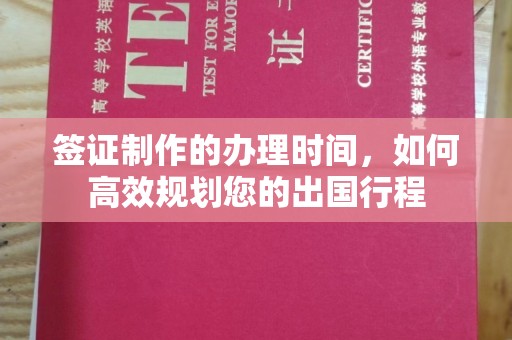 海淀签证制作的办理时间，如何高效规划您的出国行程
