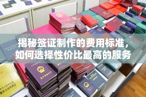 海淀揭秘签证制作的费用标准，如何选择性价比最高的服务？
