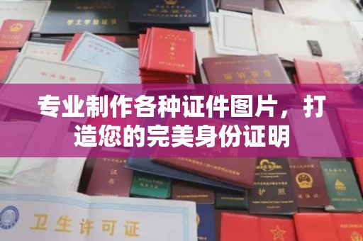 海淀专业制作各种证件图片，打造您的完美身份证明