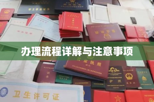 海淀办理流程详解与注意事项